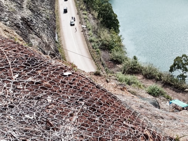 BEVA GREENETT® LARONA BALAMBANO